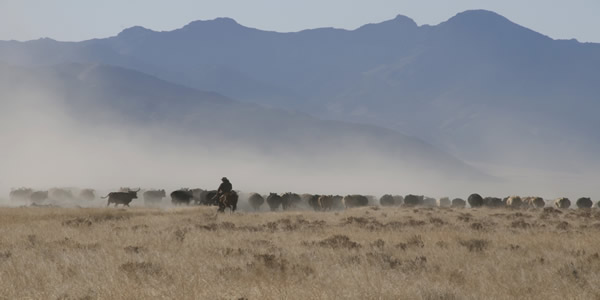 Save the date for Ag Day at the Legislature